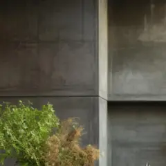 Murs en béton ciré, évoquant un style industriel moderne, avec des plantes vertes apportant une touche de nature. Parfait pour un garage ou un loft.