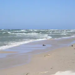Plaża z falami i wydmami. Warto zobaczyć to miejsce, idealne na spacer i podziwianie natury.
