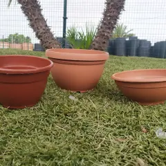 Cómo elegir la mejor pintura para macetas de barro y evitar errores