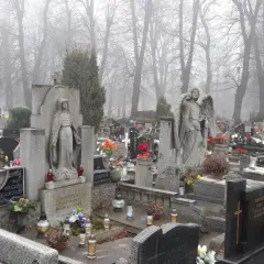 Kamienne nagrobki i rzeźby aniołów na mglistym cmentarzu.