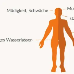 Zuckerschock Symptome: So erkennen Sie gefährliche Anzeichen rechtzeitig