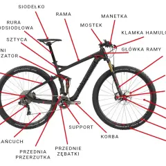 Schemat budowy roweru górskiego z oznaczeniami: rama, widelec, hamulce, przerzutki, koła i inne części.