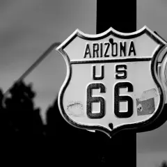Znak Route 66 w Arizonie, z sylwetkami drzew w tle. Ikona amerykańskiej drogi.