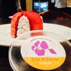 Delizioso zuccotto fiorentino, un dolce artigianale con ripieno cremoso e copertura rossa, pronto per essere gustato.
