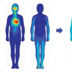 Jak człowiek może się zachować w obliczu cierpienia - analiza emocji