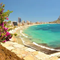 Vista panorámica de la playa del arenal-bol, con aguas turquesas, arena dorada, edificios altos y el Peñón de Ifach al fondo. Flores rosas en primer plano.