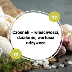 Czosnek – właściwości, działanie, wartości odżywcze. Kilka główek czosnku na tle jutowego worka i ciemnego blatu.