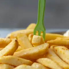Frytki dla psa? Stanowcze NIE! Poznaj ryzyko i bezpieczne alternatywy.