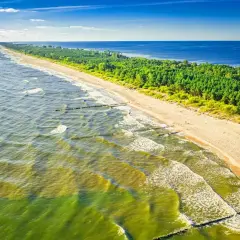 Plaża z sosnowym lasem w tle. Falochrony łagodzą fale, tworząc wrażenie najcieplejszej wody w Bałtyku.