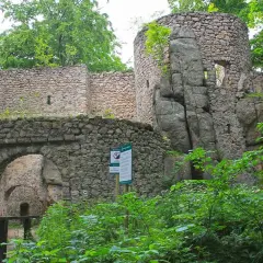 Kamienne ruiny zamku w Janowicach Wielkich, otoczone bujną zielenią, to jedne z najciekawszych atrakcji regionu.