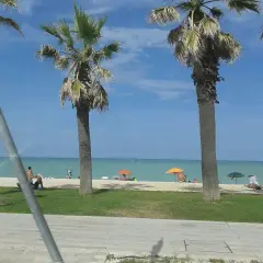 Palme e mare azzurro a Porto Sant'Elpidio. Cosa vedere? La spiaggia, il sole e il relax.