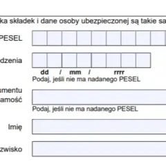 Jak wypełnić oświadczenie ZUS Z-10, aby uniknąć błędów i problemów