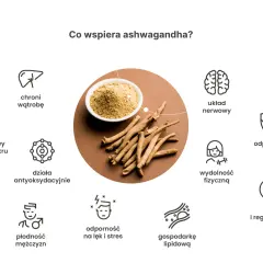 Ashwagandha wspiera układ nerwowy, odporność, płodność mężczyzn i gospodarkę lipidową. Działa antyoksydacyjnie, poprawia sen i regenerację. Po jakim czasie działa ashwagandha? Zależy od indywidualnych potrzeb.