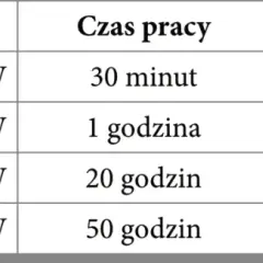 Ile prądu zużywa dmuchawa pieca? Oblicz i oszczędzaj!