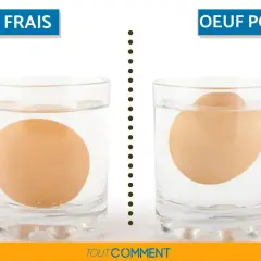 Un œuf frais coule au fond d'un verre d'eau, tandis qu'un œuf pourri flotte. Voici comment savoir si un œuf est bon.