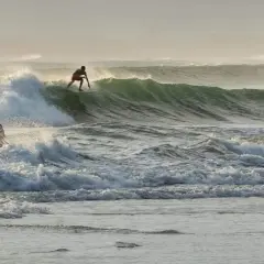 Surfer na desce ślizga się po zielonej fali, podczas gdy dwie sylwetki stoją w wodzie. To dowód, że surfing w Polsce jest możliwy!