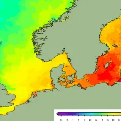 Bałtyk ile stopni: aktualna temperatura wody w Polsce i jej zmiany