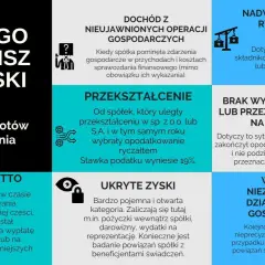 Estoński CIT: 7 przedmiotów opodatkowania. Przykłady: dochód z nieujawnionych operacji, przekształcenie spółki, nadwyżka wartości rynkowej.