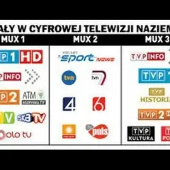 Kanały telewizji naziemnej bez dekodera: MUX 1, MUX 2, MUX 3. Zobacz, jak odbierać cyfrową TV naziemną.