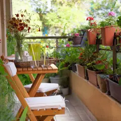 Uroczy mały ogródek aranżacja na balkonie. Drewniany stolik z napojem i kwiatami, otoczony zielenią i kolorowymi roślinami w doniczkach.