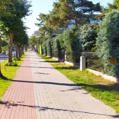 Komary nad morzem: Czy zrujnują Twój urlop? Sprawdź!