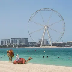 Plaża w Dubaju, gdzie wielkie koło widokowe góruje nad turkusową wodą, a na piasku odpoczywa wielbłąd. Czy Dubaj to państwo? To miasto-państwo.