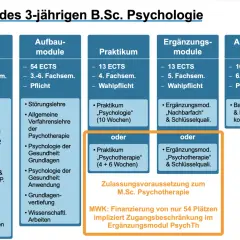 Aufbau des polyvalenten Bachelor Psychologie: Basis-, Aufbau-, Praktikums-, Ergänzungs- und Abschlussmodule.