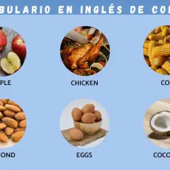 Vocabulario de comida en inglés: manzanas, pollo, maíz, almendras, huevos y coco.