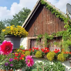 Bunte Blumenpracht vor einem Holzhäuschen – tolle Schrebergarten Ideen für ein blühendes Paradies.
