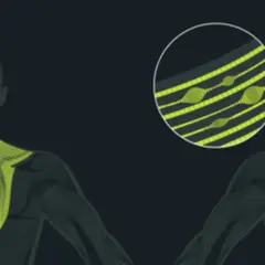 Illustration anatomique montrant des points de tension musculaire, avec un zoom sur des fibres tendues. La traduction de "trigger point" est ici illustrée.