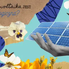 Czy fotowoltaika jest ekologiczna? Odkryj jej wpływ na środowisko