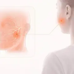 Illustration visar nerver i ansiktet, med en röd prick som markerar ett smärtområde. Kan vara relaterat till stickningar i ansiktet stress.