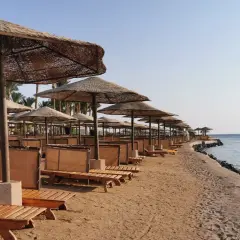 Plaża w Egipcie z rzędami leżaków i parasoli. Zastanawiasz się, ile kosztuje wiza do Egiptu, by móc tu wypocząć?