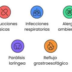 Causas de tos en perros: obstrucciones, infecciones, alergias, colapso traqueal, parálisis laríngea, reflujo y tumores.