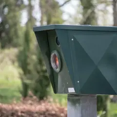 Zielnik z fotoradaru bez punktów karnych. Ciemnozielona skrzynka z obiektywem na słupie, otoczona zielenią.