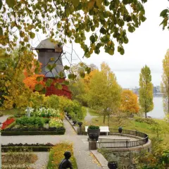 En höstlig park i Stockholm med en väderkvarn, blomsterrabatter och träd i gyllene färger. En vacker men lite tricky vy.