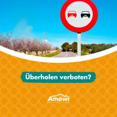 Verkehrsschild "Überholen verboten" (VZ 276) vor blühenden Bäumen und einer Straße. Frage: Überholen verboten?