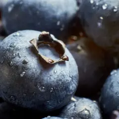 Krople wody na jagodach w zbliżeniu. Alfa makro uchwyciło każdy detal, tworząc soczysty obraz.