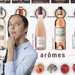 Une femme réfléchit devant plusieurs bouteilles de vin, dont un vin rouge rose. Des arômes de fruits et d'épices sont illustrés.