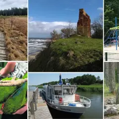 Wycieczki po Polsce z Koszalina: ścieżka przez bagna, ruiny na klifie, plac zabaw, papuga, statek i głaz.