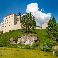 Zamek na skale, otoczony zielenią, w malowniczej scenerii Jury Krakowsko-Częstochowskiej. W dole kwitnie staw.