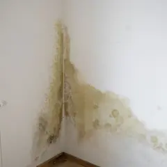 Ciemne plamy na ścianie po malowaniu, przypominające pleśń, rozprzestrzeniają się w rogu pokoju, blisko okna i grzejnika.