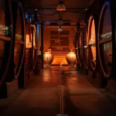 Cave d'Alsace, allées de foudres en bois, ambiance feutrée pour une dégustation vin alsace.