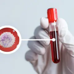 Biała krwinka w powiększeniu obok probówki z krwią. To kluczowy element badania wbc morfologia co to jest.