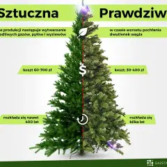 Wybór choinki: żywa, sztuczna, w donicy? Co musisz wiedzieć!