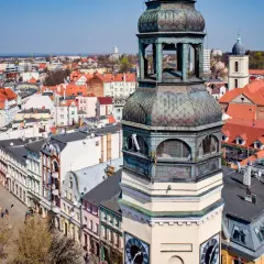 Ile ludzi mieszka w Zielonej Górze? Zaskakujące dane o populacji