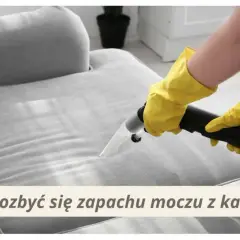 Jak usunąć zapach moczu z kanapy? Skuteczne metody i porady