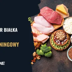Kalkulator białka i plan treningowy. Różnorodne źródła białka: mięso, ryby, jajka, nabiał, rośliny strączkowe, płatki owsiane, ryż, kasza.