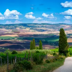 Strada sterrata attraversa dolci colline coltivate nella regione del Chianti, sotto un cielo azzurro con nuvole bianche.