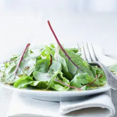 Frischer mangold salat mit Vinaigrette auf einem Teller, daneben eine Gabel.